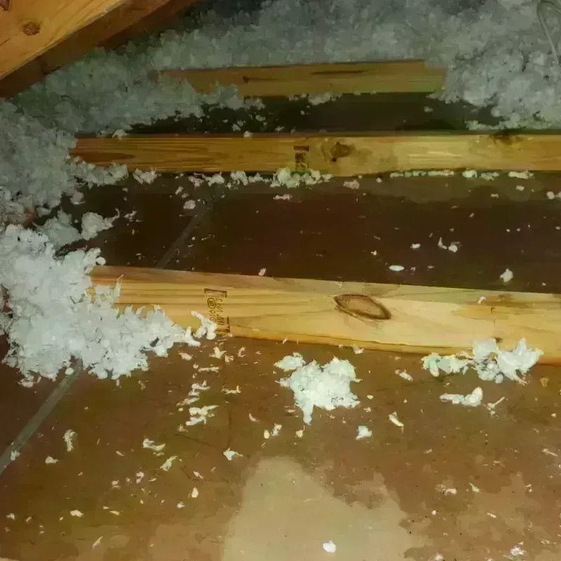 Attic Water Damage in Louisville, TN