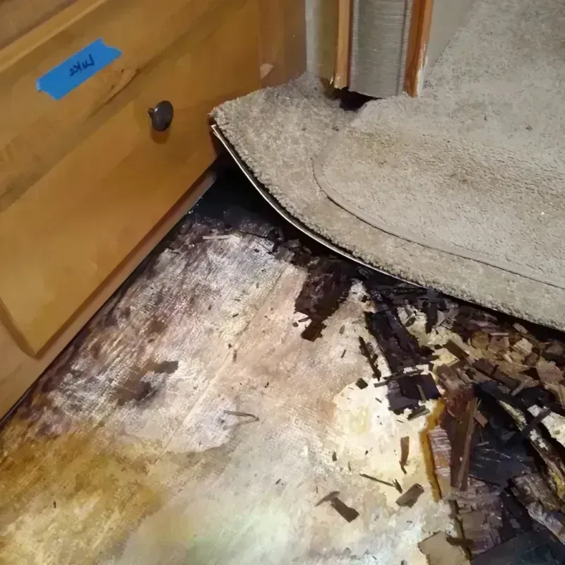 Wood Floor Water Damage in Louisville, TN